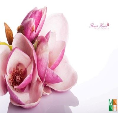 Trang trí phòng ngủ với tranh dán tường 3D hoa mộc lan FW - 089